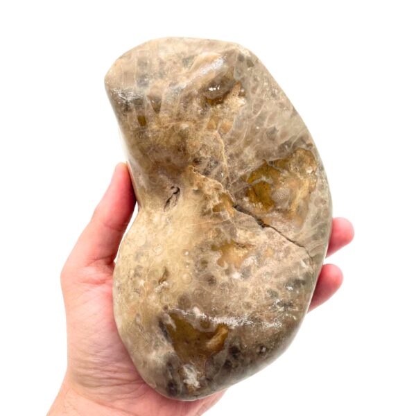 Petoskey Stone F2