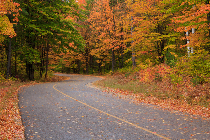 Curving road through fall colors