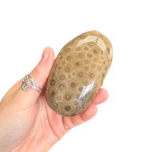 Polished Petoskey Stone