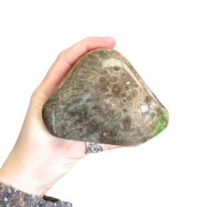 Petoskey Stone