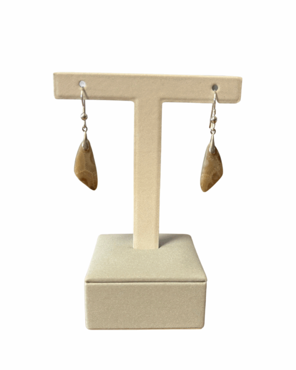 Petoskey Stone Earrings