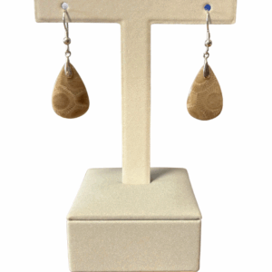 Petoskey Stone Earrings