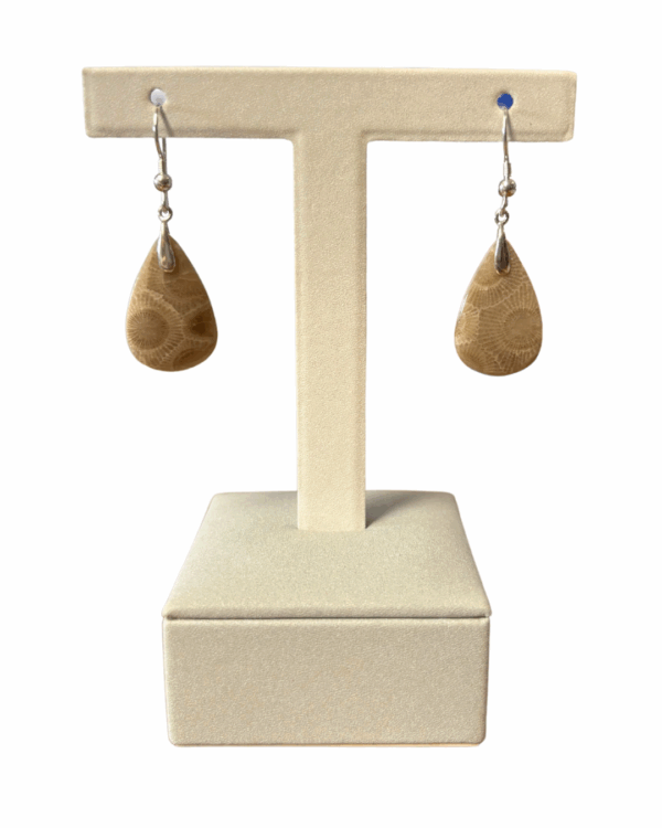 Petoskey Stone Earrings