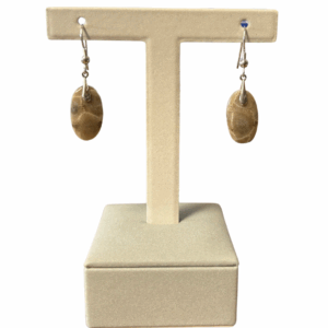 Petoskey Stone Earrings