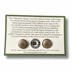 Petoskey Stone Stud Earrings