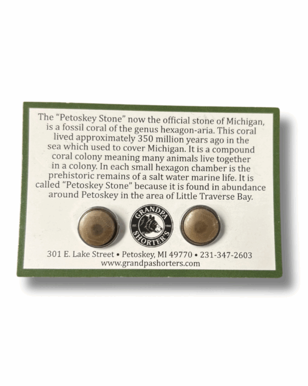 Petoskey Stone Stud Earrings
