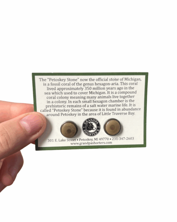 Petoskey Stone Stud Earrings