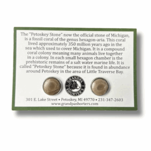 Petoskey Stone Stud Earrings