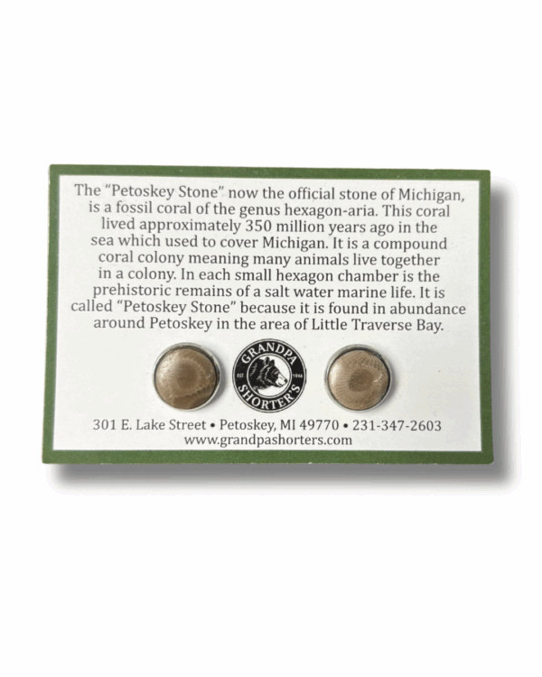 Petoskey Stone Stud Earrings