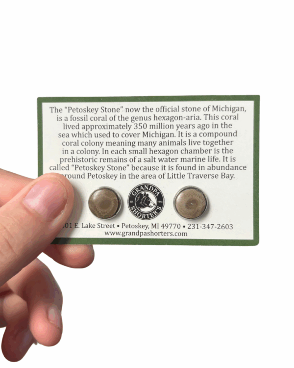 Petoskey Stone Stud Earrings