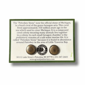 Petoskey Stone Stud Earrings – 1cm