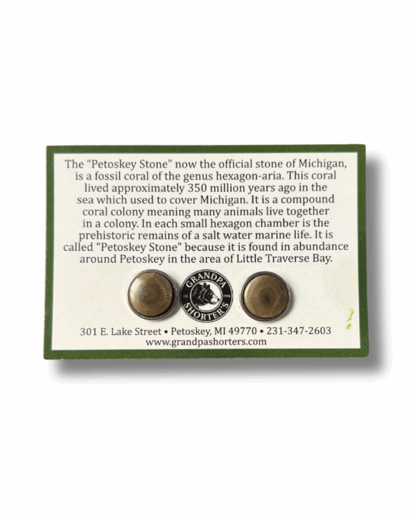 Petoskey Stone Stud Earrings – 1cm