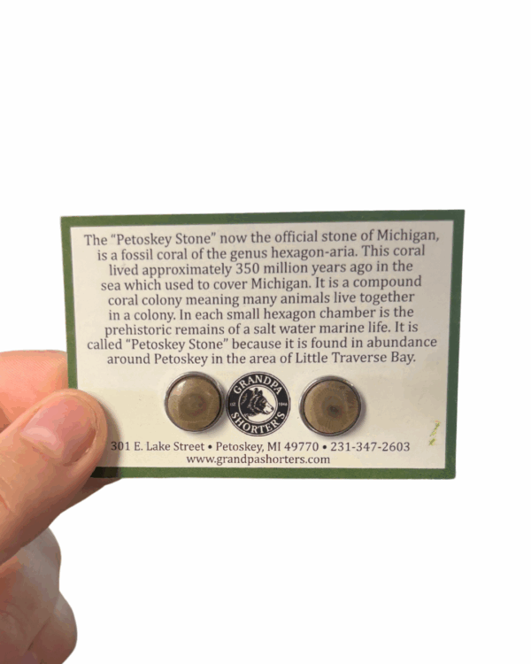 Petoskey Stone Stud Earrings – 1cm