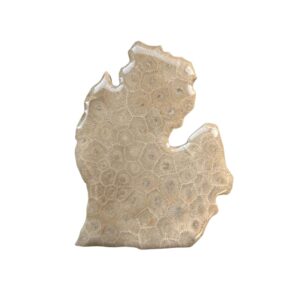 Michigan Petoskey Stone Magnet