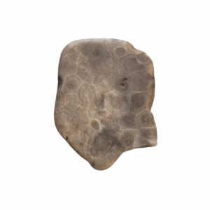 Petoskey Stone Magnet (A1)