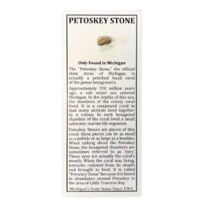 Petoskey Stone Bookmark