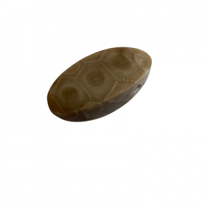 Petoskey Stone Pendant - A