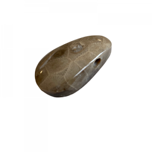 Petoskey Stone Pendant - B