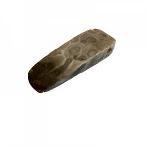 Petoskey Stone Pendant - C