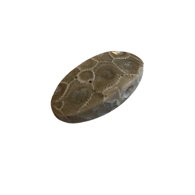 Petoskey Stone Pendant - D