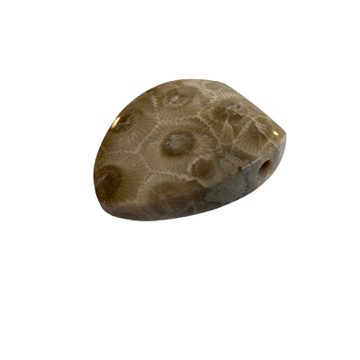 Petoskey Stone Pendant - E