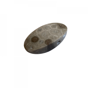 Petoskey Stone Pendant - I