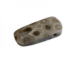 Petoskey Stone Pendant - P